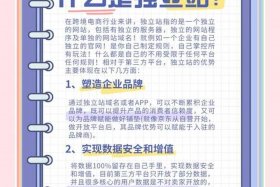 跨境电商独立站排行榜前十名（跨境电商独立站排行榜）