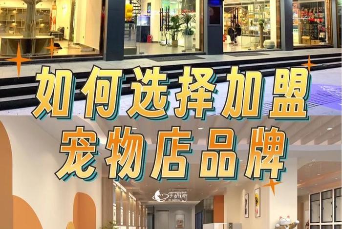 宠物用品电商加盟 - 宠物用品电商加盟费多少 宠物用品电商加盟 - 宠物用品电商加盟费多少