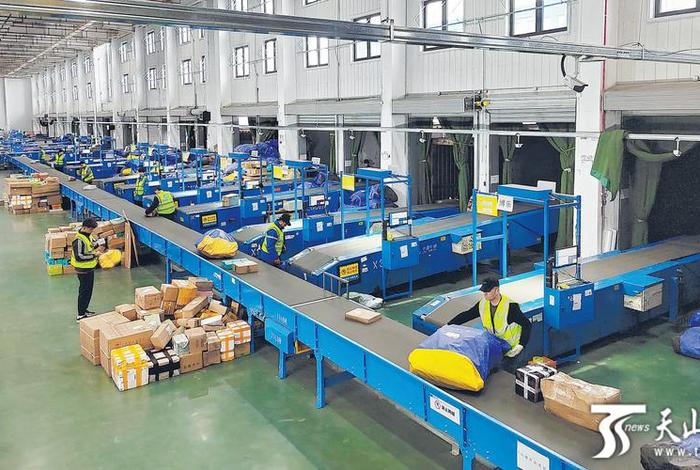 电商播种式分拣 - 电商播种式分拣如何提高工作效率