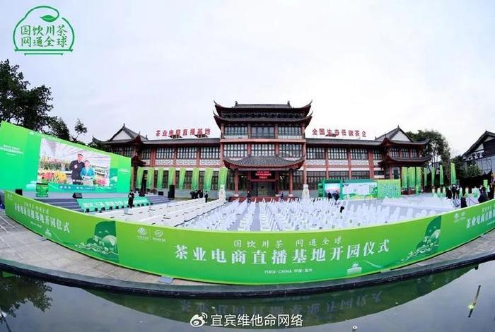 茶叶电商直播、茶叶电商直播基地 茶叶电商直播、茶叶电商直播基地