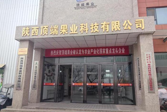 电商集团公司 - 电商公司是什么企业