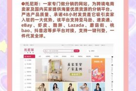 电商分销平台系统，电商分销平台排名