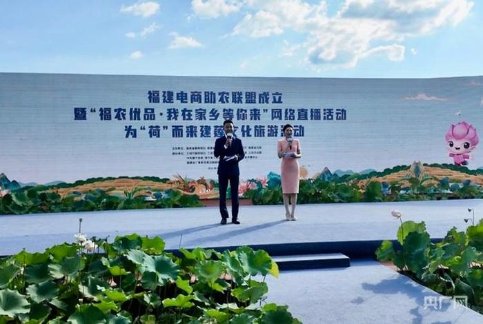 福建电商联盟,福建电商联盟官网 福建电商联盟,福建电商联盟官网