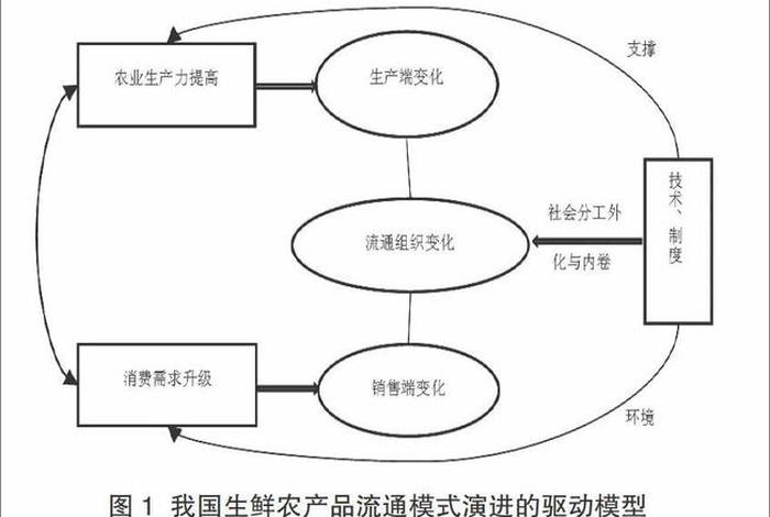 生鲜农产品电商平台物流模式国内外研究现状、生鲜农产品电子商务的物流服务创新研究现状 生鲜农产品电商平台物流模式国内外研究现状、生鲜农产品电子商务的物流服务创新研究现状