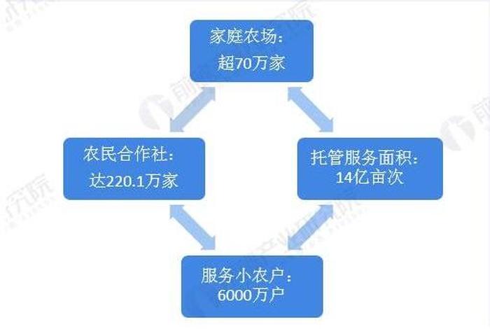 乡村振兴电商市场分析、乡村振兴 电商 乡村振兴电商市场分析、乡村振兴 电商
