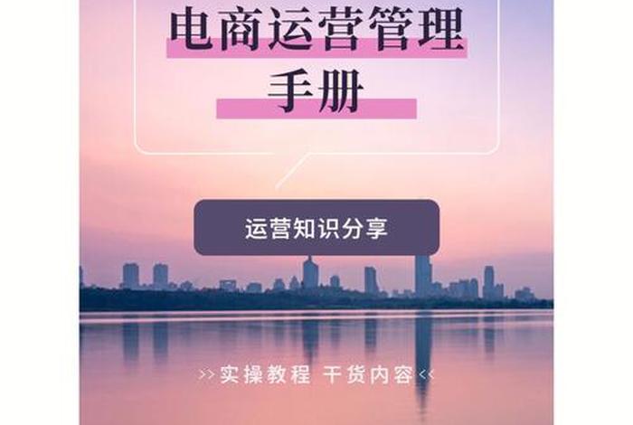 电商运营与推广教材 电商运营与推广教材pdf 电商运营与推广教材 电商运营与推广教材pdf