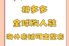 进口电商店（进口电商是什么意思）