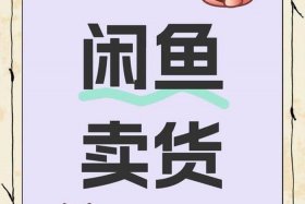 电商记官网 电商记怎么样