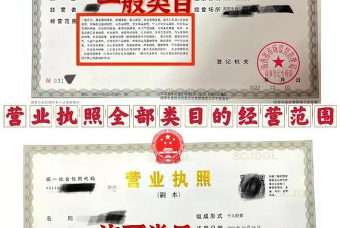 跨境电商执照经营范围怎么写、跨境电商执照经营范围怎么写的 跨境电商执照经营范围怎么写、跨境电商执照经营范围怎么写的