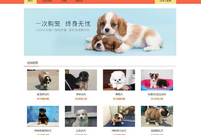 宠物电商是什么 - 宠物电商是什么意思 宠物电商是什么 - 宠物电商是什么意思