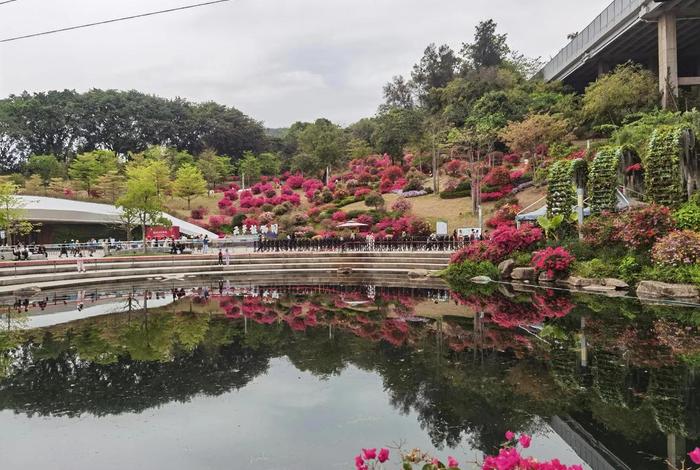 广州电商基地在哪、广州电商基地在哪个区 广州电商基地在哪、广州电商基地在哪个区