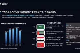 中东电商平台占比 - 中东电商平台占比多少