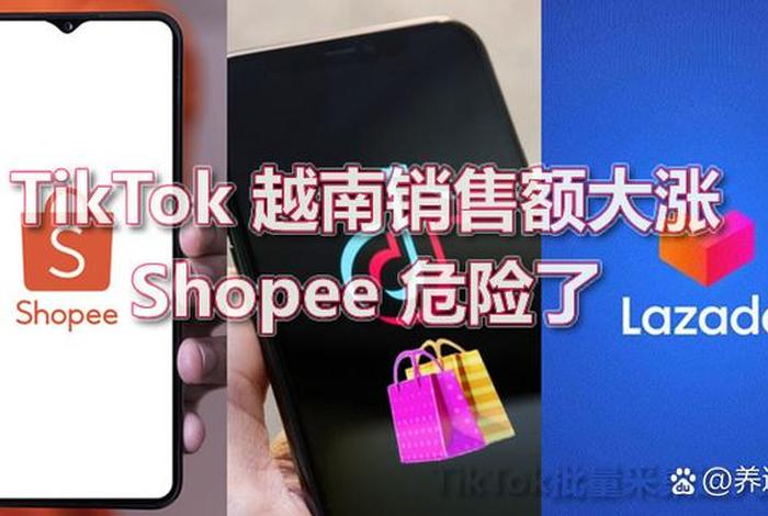 shopee跨境电商越南站;shopee越南站定价公式 shopee跨境电商越南站;shopee越南站定价公式