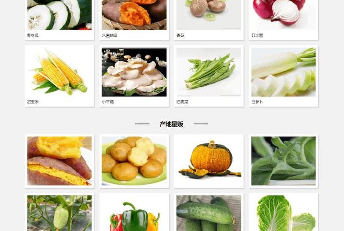 蔬菜电商平台哪个更好、蔬菜电商平台哪个更好一些 蔬菜电商平台哪个更好、蔬菜电商平台哪个更好一些
