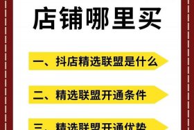 抖音电商精选联盟 - 抖音电商精选联盟达人