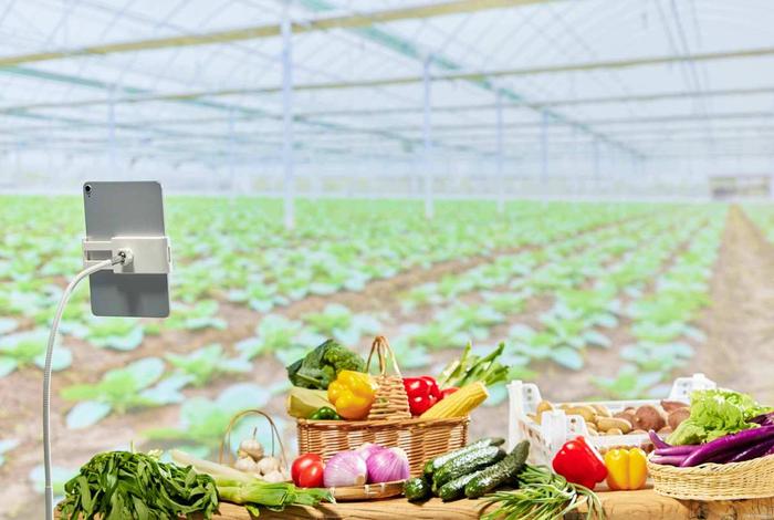 农业电商图片、农业电商图片素材 农业电商图片、农业电商图片素材