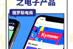 俄罗斯电商平台ozon在哪里下载（俄罗斯电商平台ozon下载需要钱）