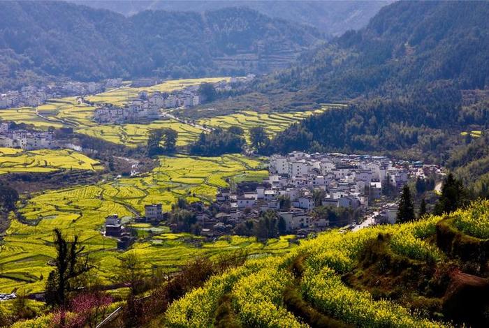 婺源电商运营培训机构、婺源电商运营培训机构排名 婺源电商运营培训机构、婺源电商运营培训机构排名