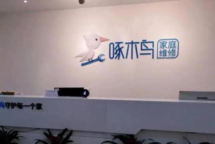 加盟电商啄木鸟需要什么条件、怎么加盟啄木鸟家电维修 加盟电商啄木鸟需要什么条件、怎么加盟啄木鸟家电维修