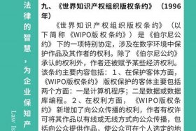 电商运营知识产权；电商领域知识产权
