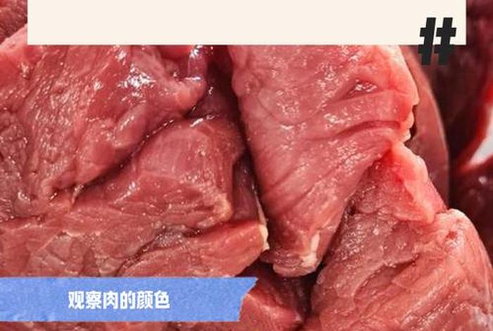 饭店用猪肉冒充牛肉犯法吗、饭店用猪肉冒充牛肉犯法吗知乎 饭店用猪肉冒充牛肉犯法吗、饭店用猪肉冒充牛肉犯法吗知乎