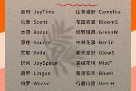 电商名字怎么起 电商名字怎么起才能好记和生财