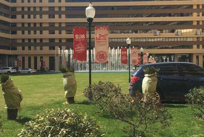 雅堂商贸 雅堂电商 雅堂商贸 雅堂电商