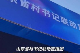 山东电商直播管理集团是官方吗 - 山东省直播电商协会