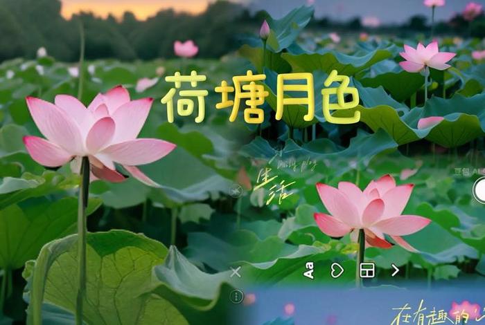 荷塘月色淘宝论坛怎么样,荷塘月色淘宝小号购买论坛 荷塘月色淘宝论坛怎么样,荷塘月色淘宝小号购买论坛