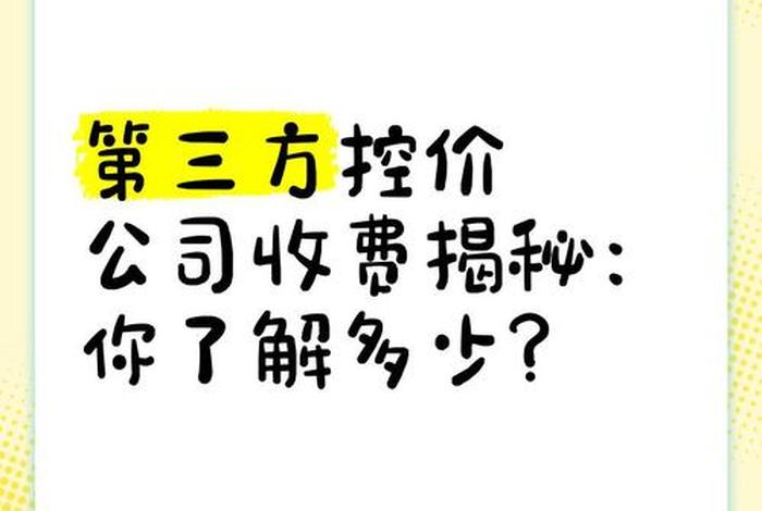 电商控价第三方公司是怎么控价的，电商控价第三方公司是怎么控价的呢