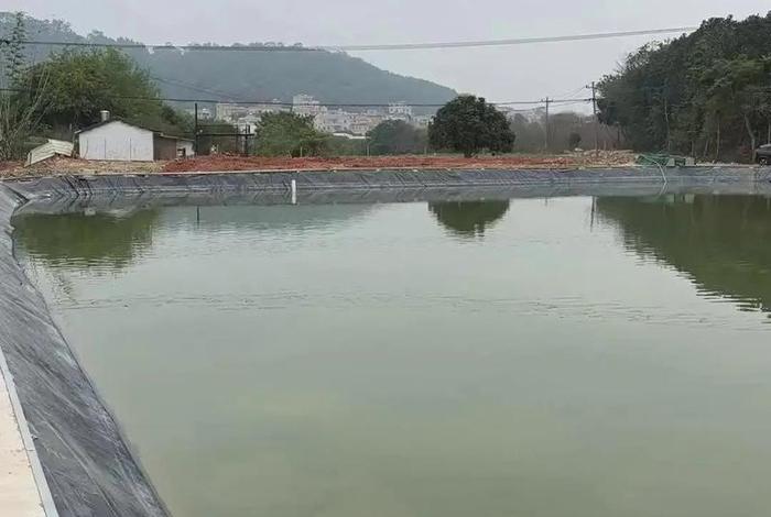 电商鱼塘平台、电商鱼塘用什么平台 电商鱼塘平台、电商鱼塘用什么平台