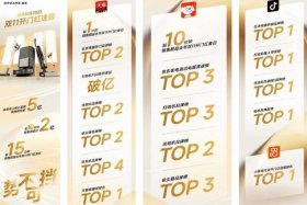 各大电商平台双11销售额排名；各大电商平台双11销售额排名榜