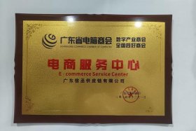 广东电商科技有限公司 广东电商科技有限公司官网