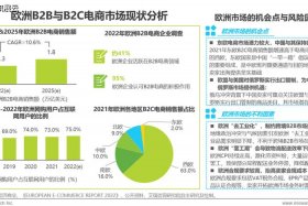 出口电商平台概况；出口电商平台概况介绍