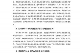 发展电商的建议、发展电商的问题与建议