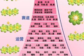 tiktok跨境电商运营（tiktok跨境电商运营流程）