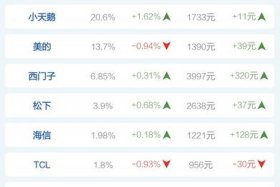 电商品牌排行 电商品牌排行榜