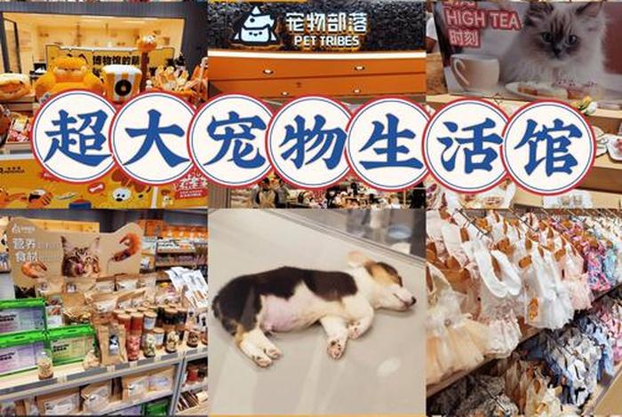 宠物用品电商公司 - 宠物用品电商公司怎么样 宠物用品电商公司 - 宠物用品电商公司怎么样