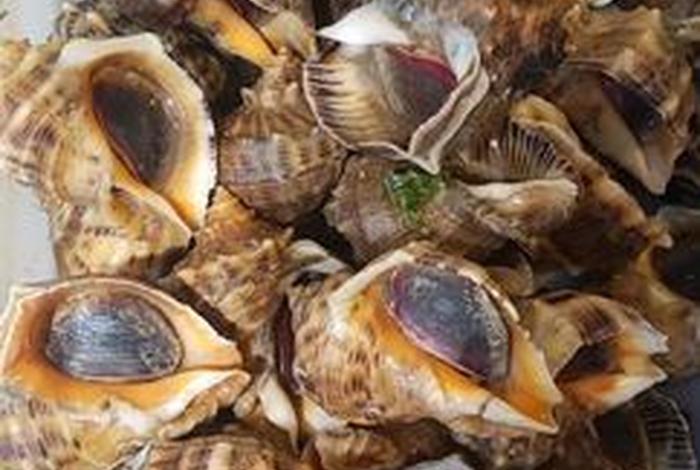 海螺电商平台注册时为晚上进不去,海螺电商平台官网 海螺电商平台注册时为晚上进不去,海螺电商平台官网