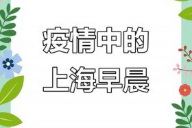 上海回应市民反映（上海回应市民反映网上抢菜难、送不到）