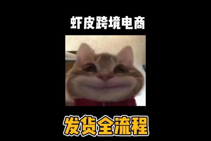 跨境电商怎么做新手入门虾皮,跨境电商怎么做新手入门虾皮卖家 跨境电商怎么做新手入门虾皮,跨境电商怎么做新手入门虾皮卖家