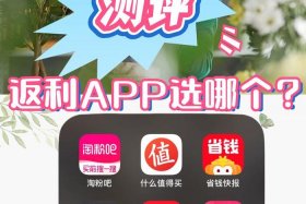 电商投资返利；电商平台返佣