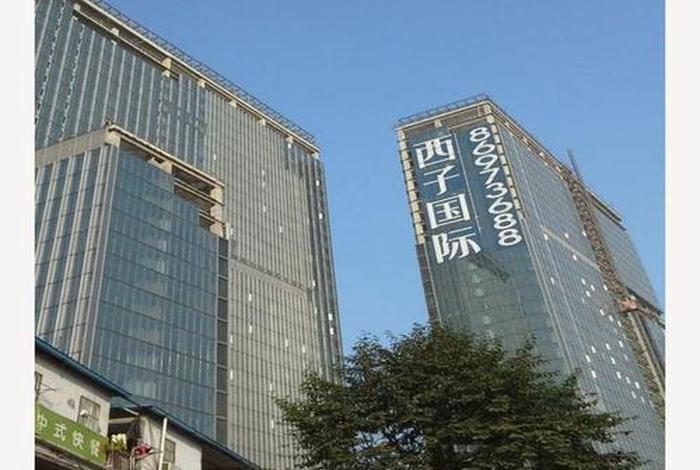 西子电商有哪些店铺(西子国际店铺) 西子电商有哪些店铺(西子国际店铺)