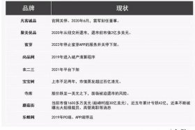 垂直电商的含义 - 垂直电商的含义是什么