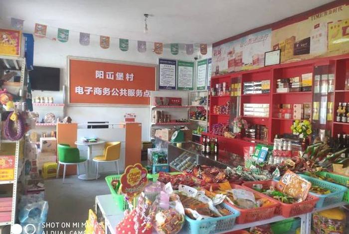 电商村站点（村级电商服务站点）