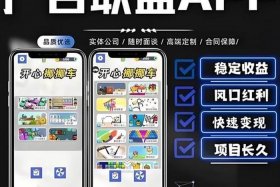 电商软件、广告电商软件
