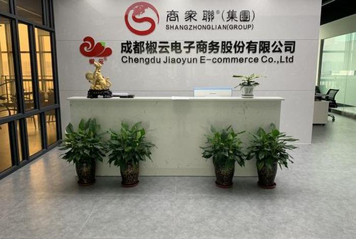 电商运营 公司(成都电商运营公司) 电商运营 公司(成都电商运营公司)