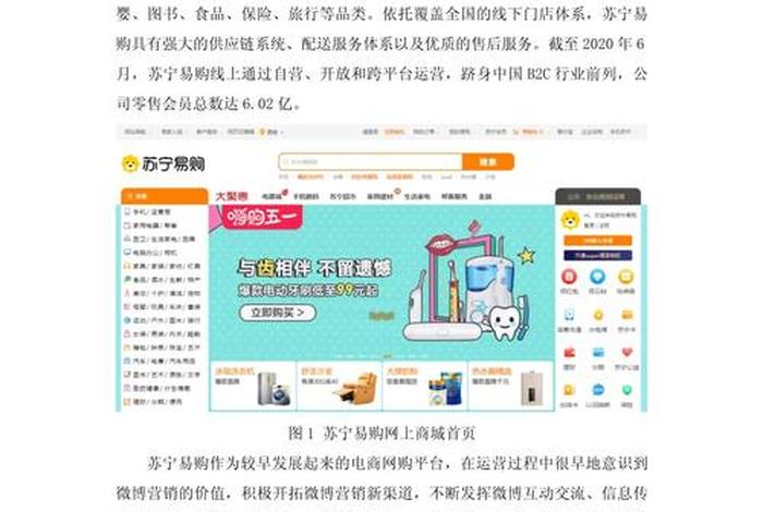 电商案例100例(电商案列) 电商案例100例(电商案列)