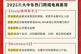 中东市场跨境电商品类；中东市场跨境电商品类有哪些