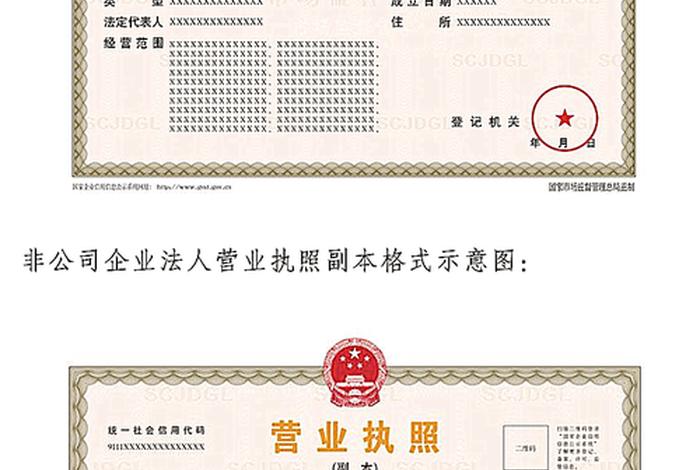 电商营业执照名字，电商营业执照名字及logo申请流程详解